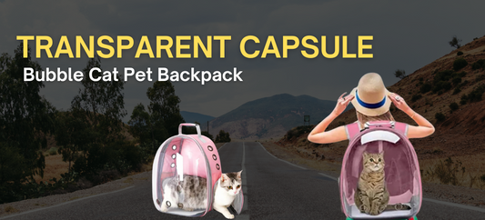 Transparent Capsule Bubble Cat Pet Backpack: The Ultimate Breathable Carrier for Travel