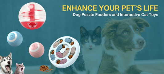 Enhance Your Pet’s Life with Dog Puzzle Feeders and Interactive Cat Toys