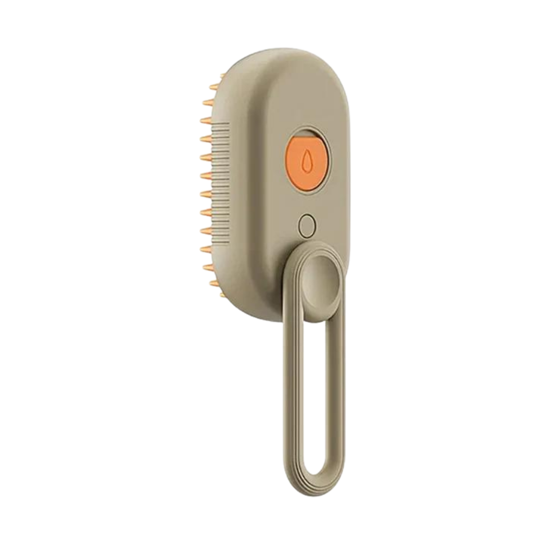 Cat Hair Grooming Steam Brush Rechargeable