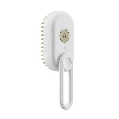 Cat Hair Grooming Steam Brush Rechargeable