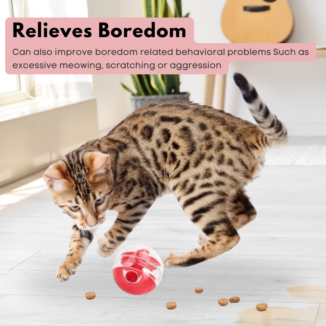 Interactive Cat Treat Dispensing Ball – Bite-Resistant Slow Feeder Puzzle for Kittens