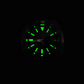 Luxury Diver's Men's Watch Abalone Dial NH35A Movement Sapphire Glass