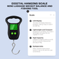 Digital Hanging Scale | Mini Luggage Weight Balance and Fishing Tool with LCD Backlit Display