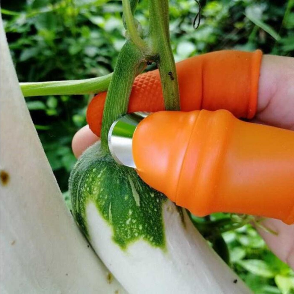 Garden Harvest Tool: Iron Nail Grape Picker for Farm, Orchard, and Vegetable, Tip Picker