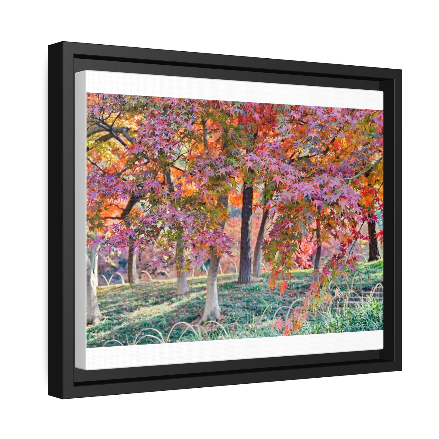 Sun-kissed Foliage" - Vibrant Framed Canvas Wall Art of Colourful Leaves on Trees in Sunlight