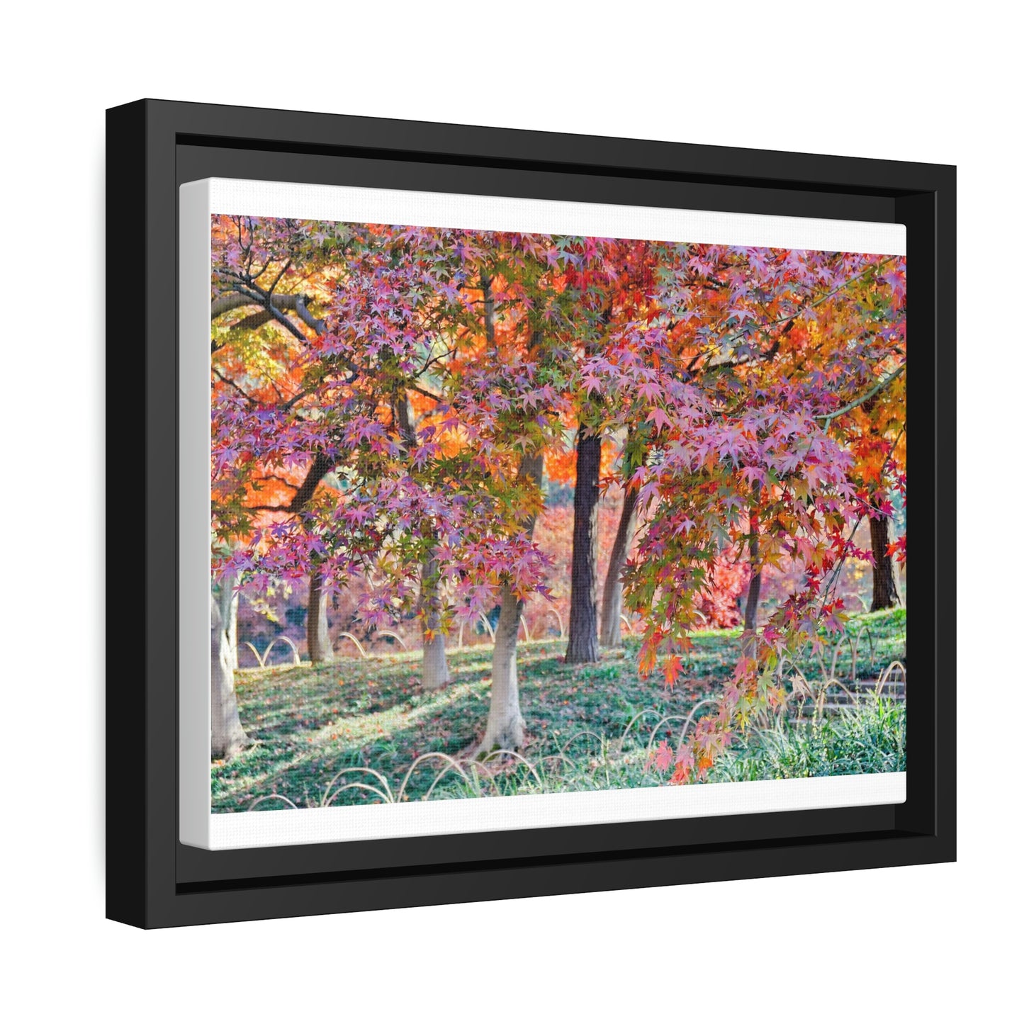 Sun-kissed Foliage" - Vibrant Framed Canvas Wall Art of Colourful Leaves on Trees in Sunlight