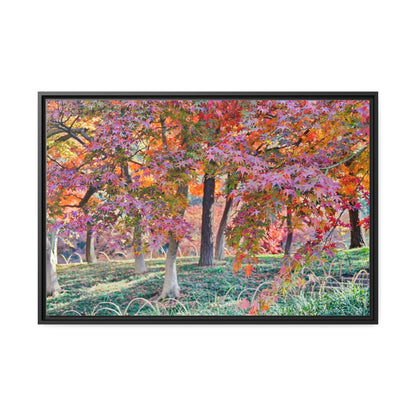 Sun-kissed Foliage" - Vibrant Framed Canvas Wall Art of Colourful Leaves on Trees in Sunlight