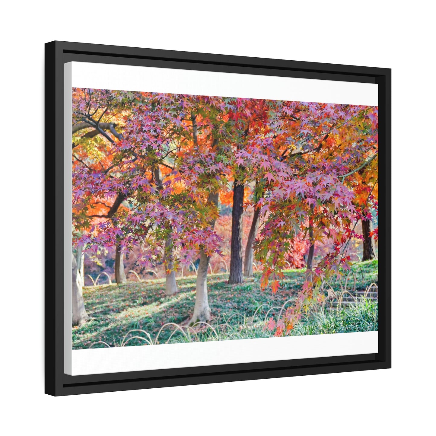 Sun-kissed Foliage" - Vibrant Framed Canvas Wall Art of Colourful Leaves on Trees in Sunlight