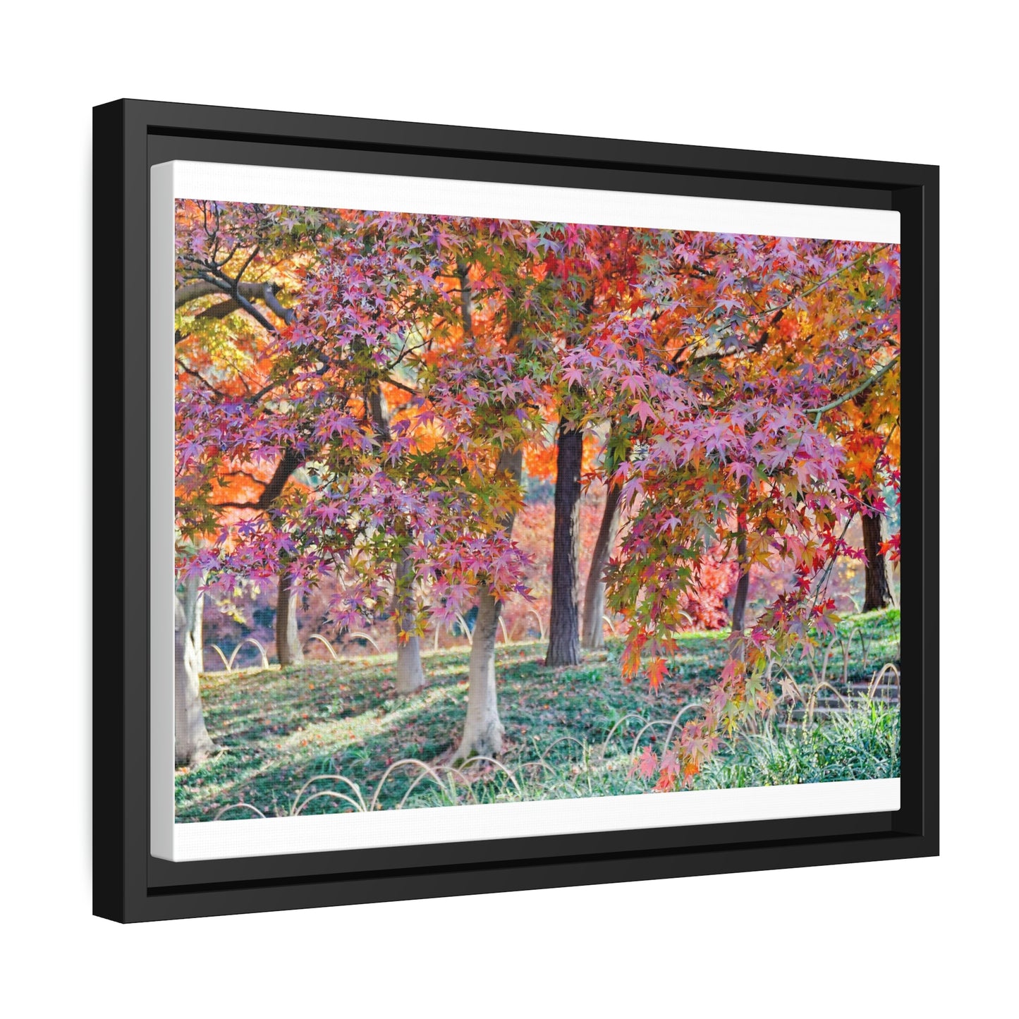 Sun-kissed Foliage" - Vibrant Framed Canvas Wall Art of Colourful Leaves on Trees in Sunlight