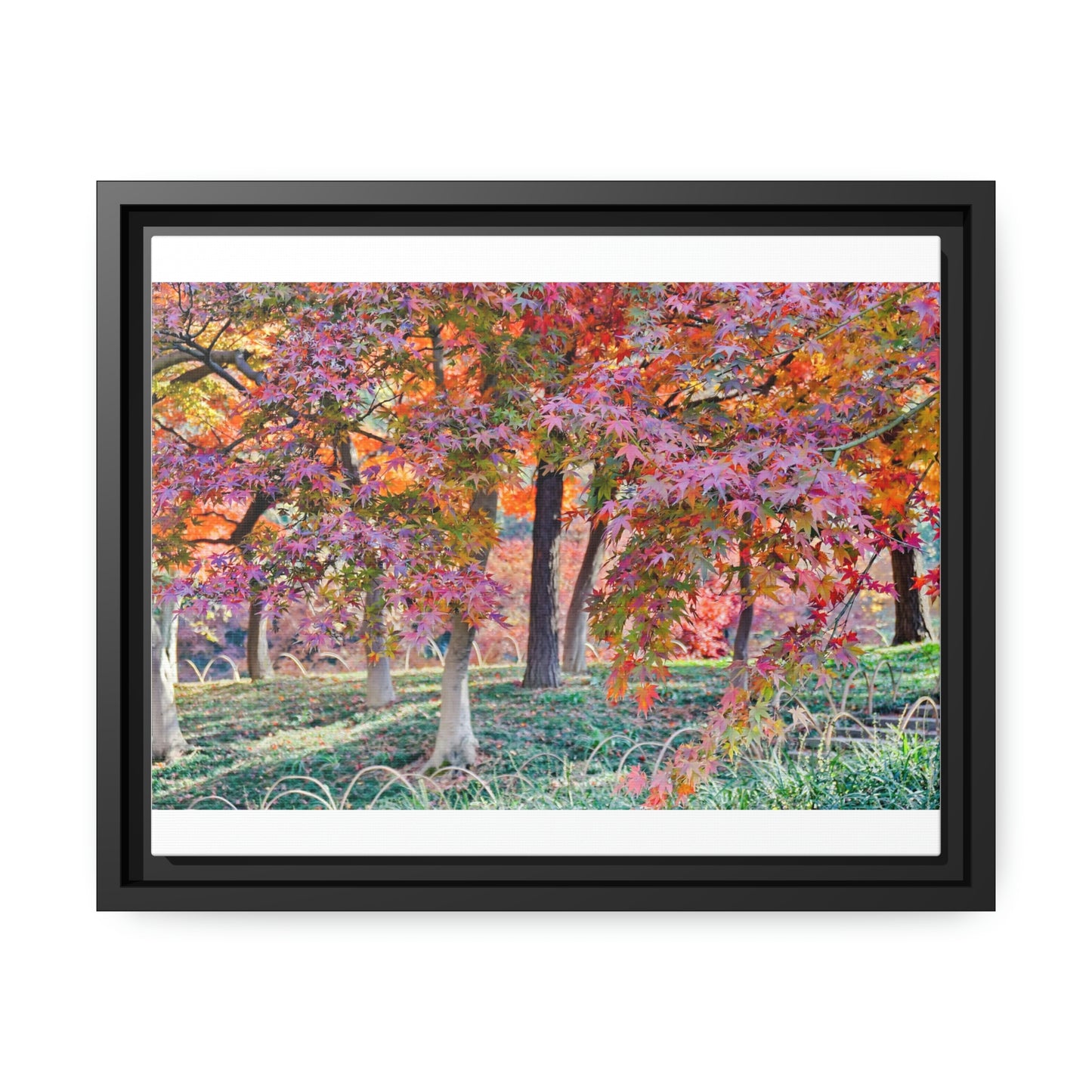 Sun-kissed Foliage" - Vibrant Framed Canvas Wall Art of Colourful Leaves on Trees in Sunlight